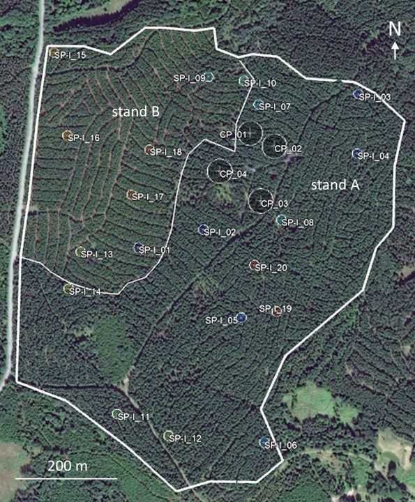 Hyltemossa target area EC measurements