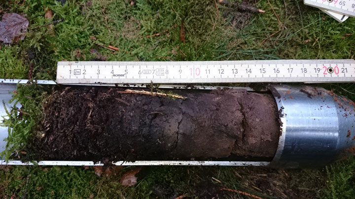 Soil profile