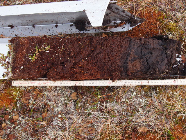 Soil profile