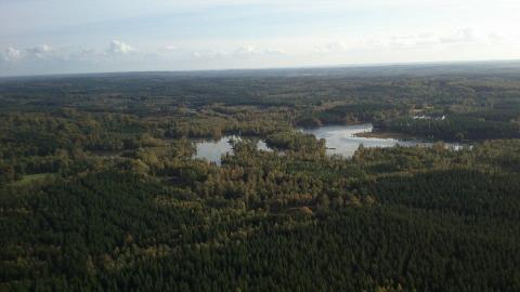 view from Hyltemossa