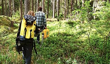 Researchers in Norunda forest